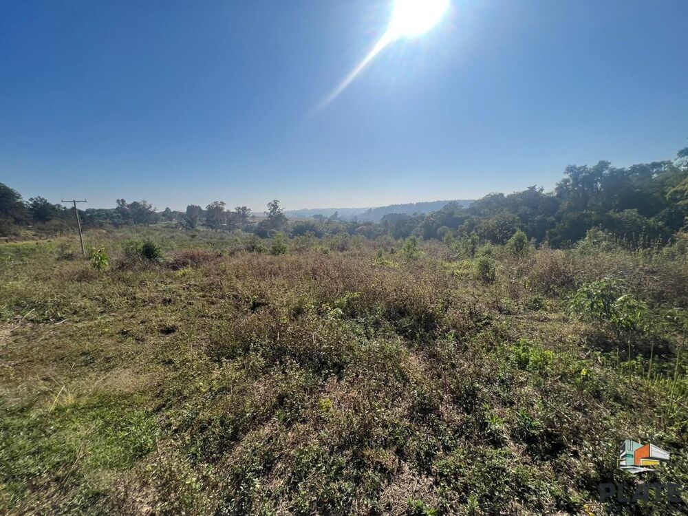 Sítio, 2 hectares - Foto 14