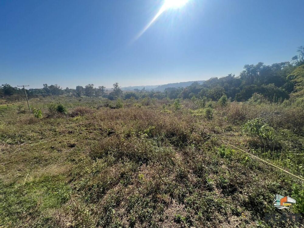 Sítio, 2 hectares - Foto 6