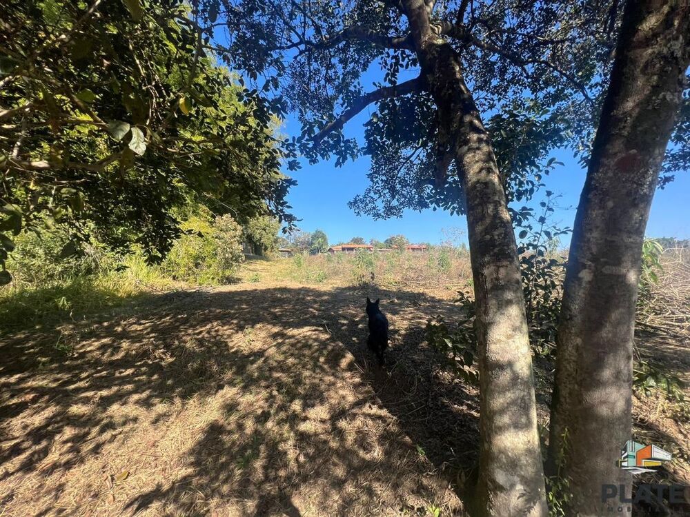 Sítio, 2 hectares - Foto 10