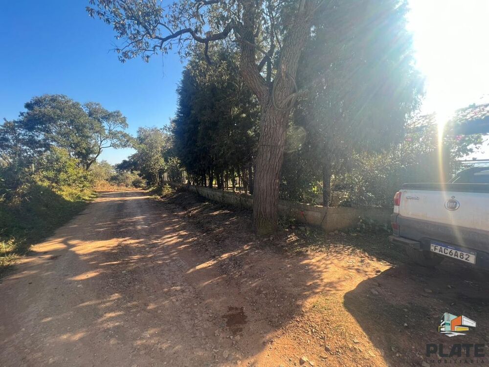 Sítio, 2 hectares - Foto 8