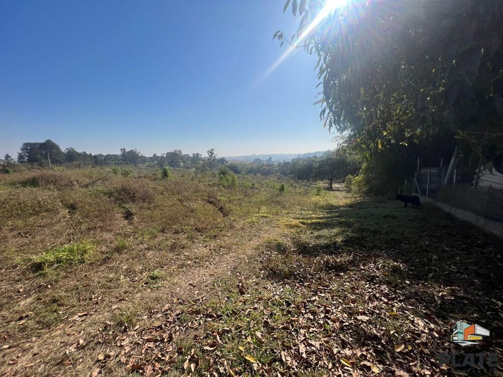 Sítio, 2 hectares - Foto 11