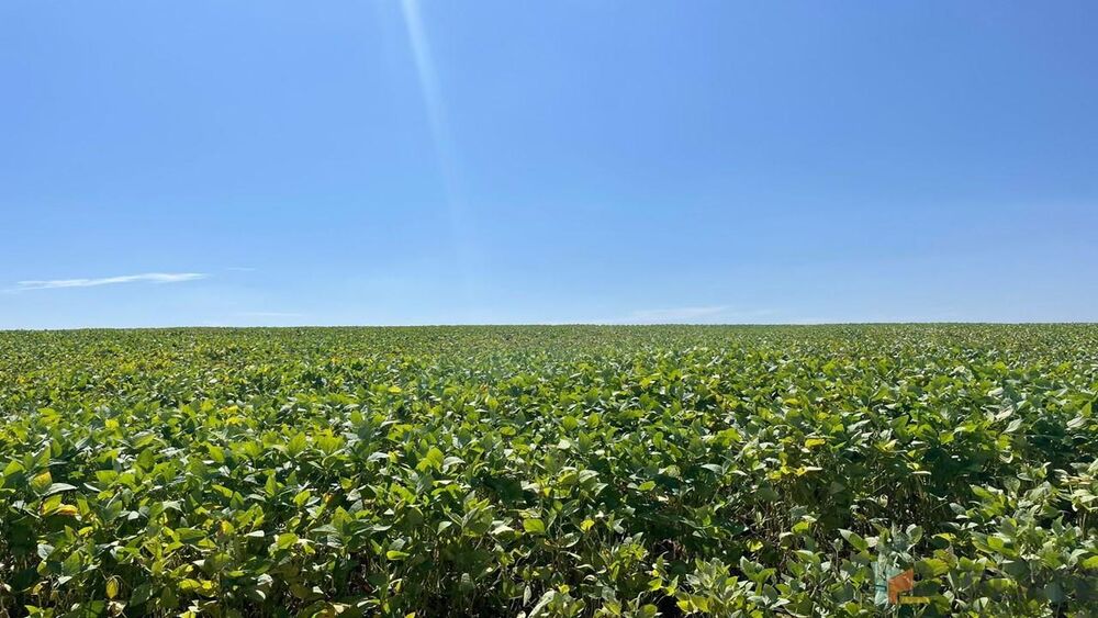 Fazenda à venda, 7986000m² - Foto 8
