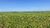 Fazenda, 799 hectares - Foto 9
