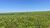 Fazenda, 799 hectares - Foto 10