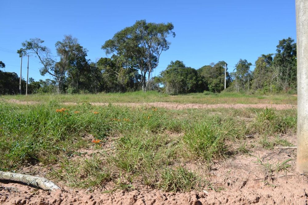 Terreno, 450 m² - Foto 2