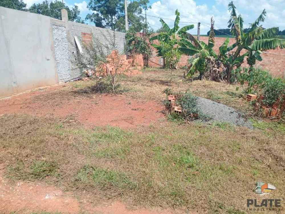 Chácara, 3 quartos, 1000 m² - Foto 9