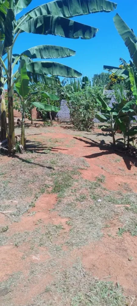 Chácara, 3 quartos, 1000 m² - Foto 12