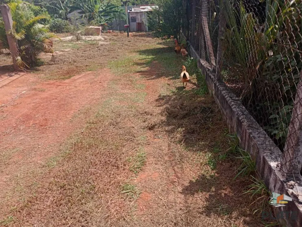 Chácara, 3 quartos, 1000 m² - Foto 11