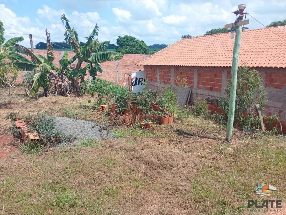 Chácara, 3 quartos, 1000 m² - Foto 10