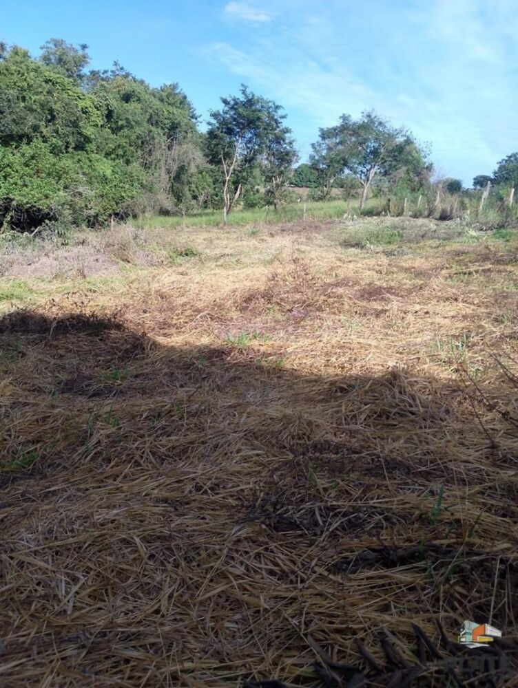 Terreno, 2329 m² - Foto 2