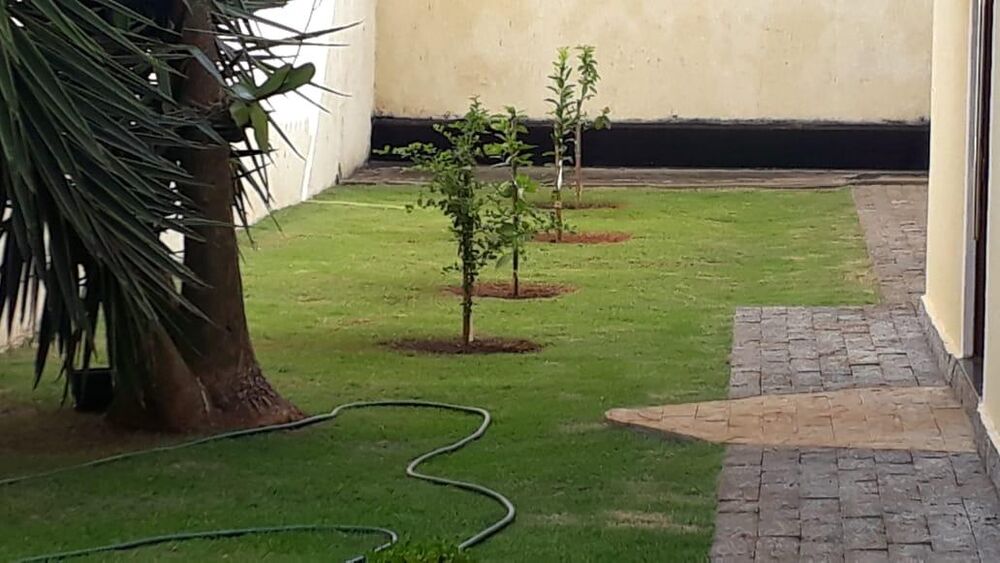 Casa de Condomínio - Foto 11