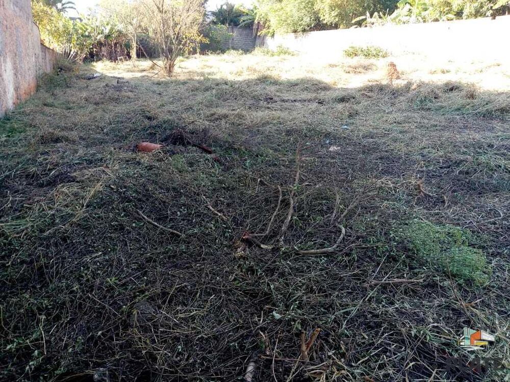Terreno, 1000 m² - Foto 3