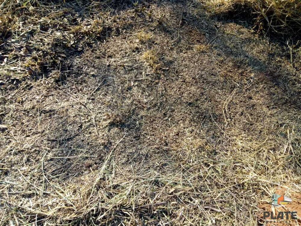 Terreno, 1000 m² - Foto 6