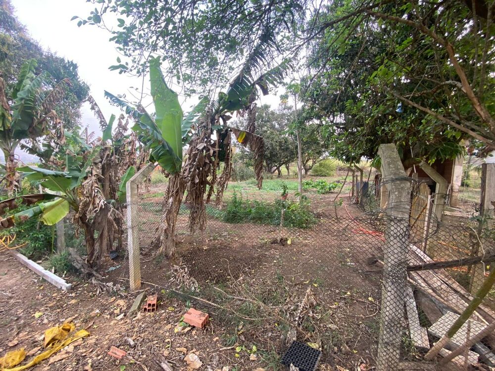 Sítio, 2 hectares - Foto 10