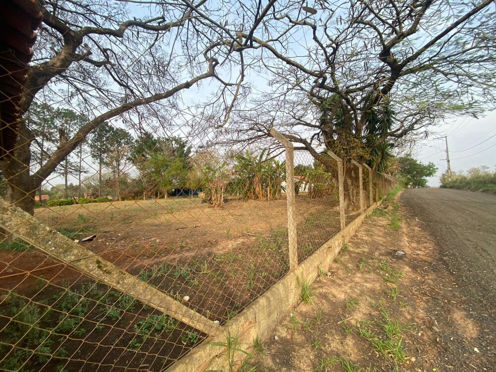 Sítio, 2 hectares - Foto 8