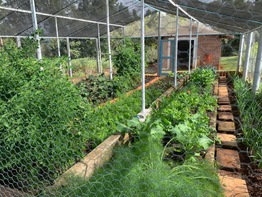 Sítio, 18 hectares - Foto 18