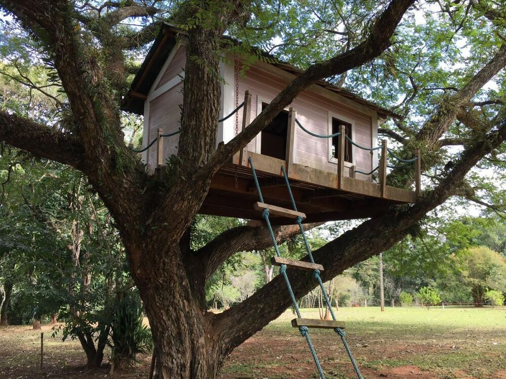 Sítio, 18 hectares - Foto 19