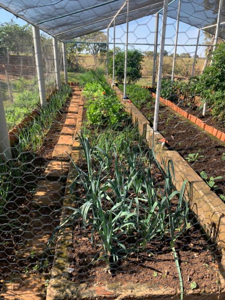 Sítio, 18 hectares - Foto 20