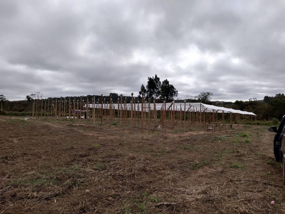 Sítio, 1 hectares - Foto 1