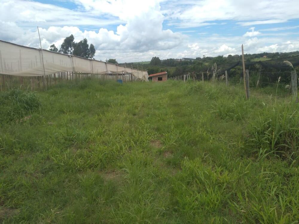 Sítio, 1 hectares - Foto 13