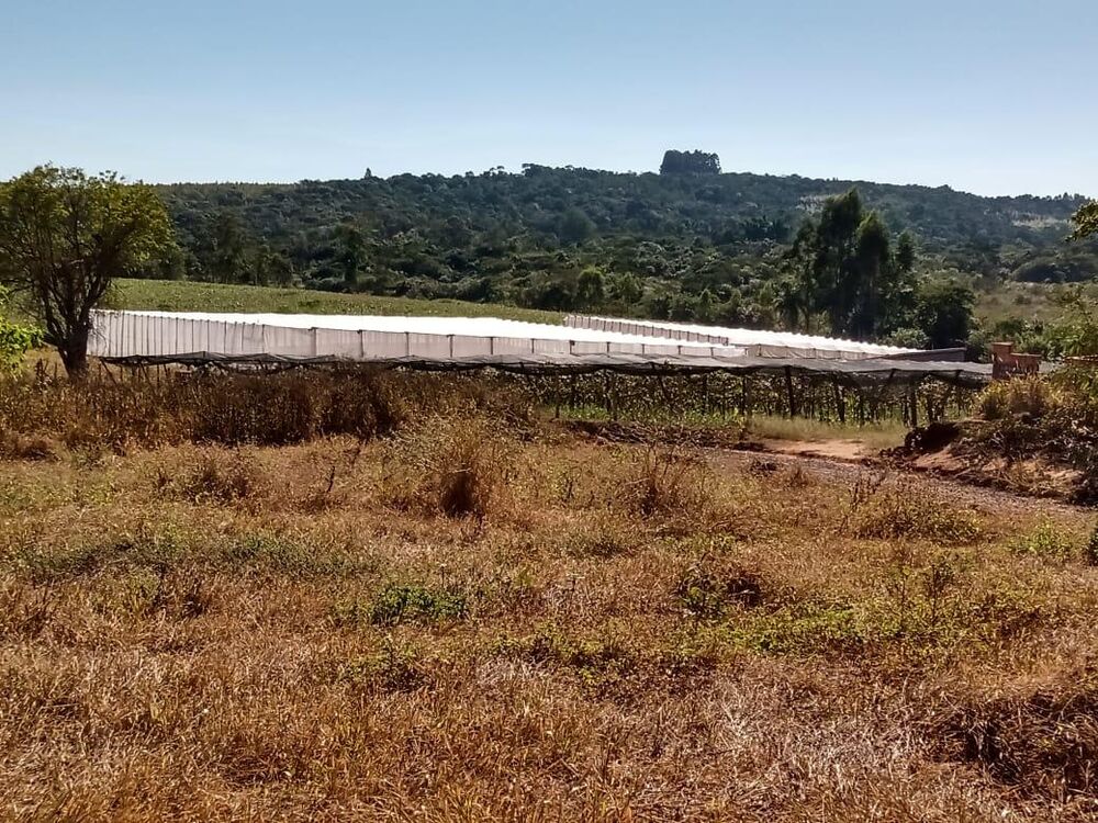 Sítio, 1 hectares - Foto 9