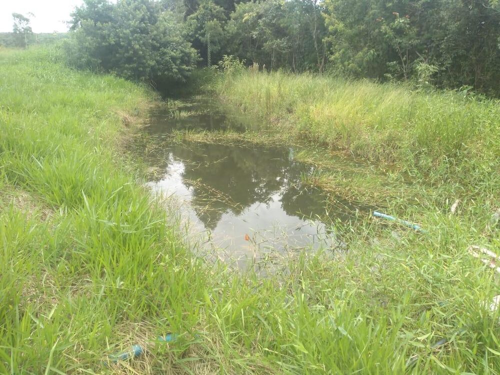 Sítio, 1 hectares - Foto 11