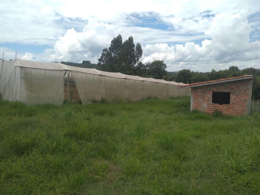 Sítio, 1 hectares - Foto 4