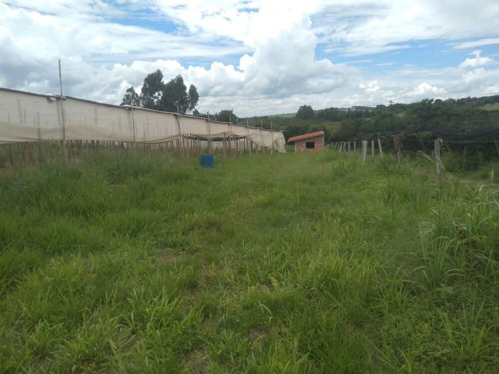 Sítio, 1 hectares - Foto 7