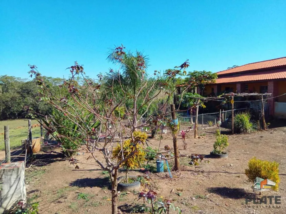 Chácara, 8000 m² - Foto 11