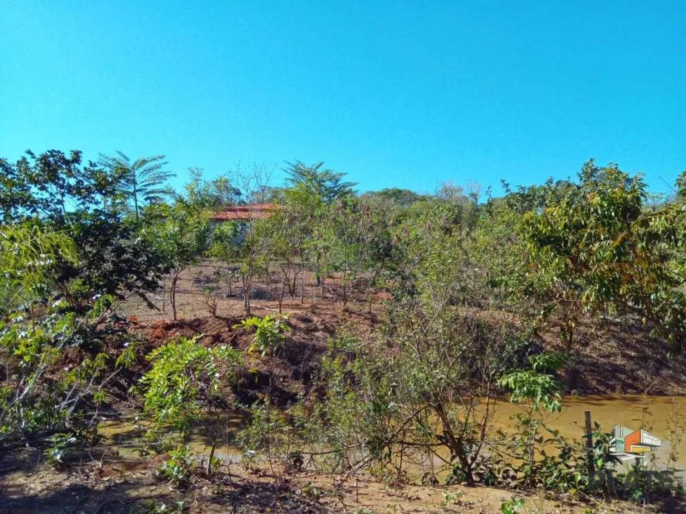 Chácara, 8000 m² - Foto 10