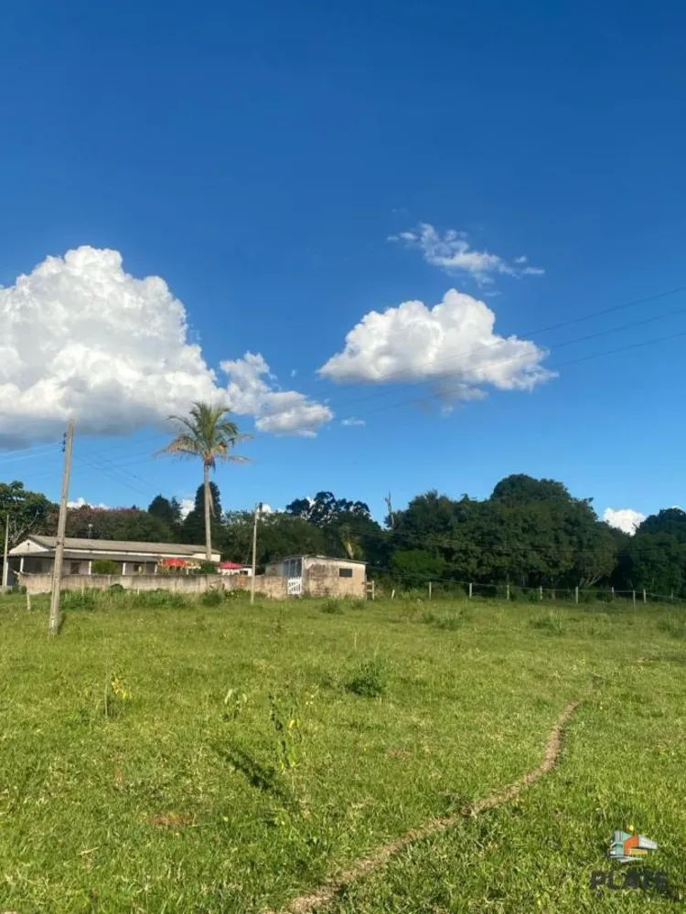 Fazenda, 2 hectares - Foto 7