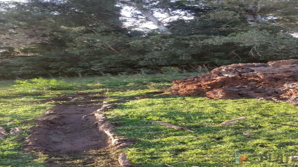 Terreno, 1500 m² - Foto 5