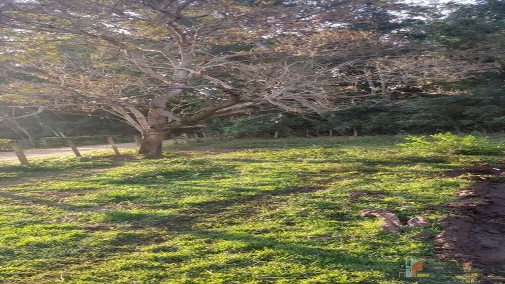 Terreno, 1500 m² - Foto 4