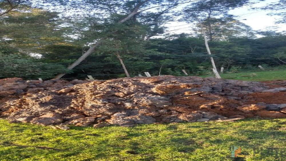 Terreno, 1500 m² - Foto 6