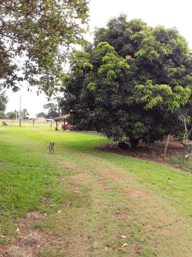 Terreno, 2 hectares - Foto 3