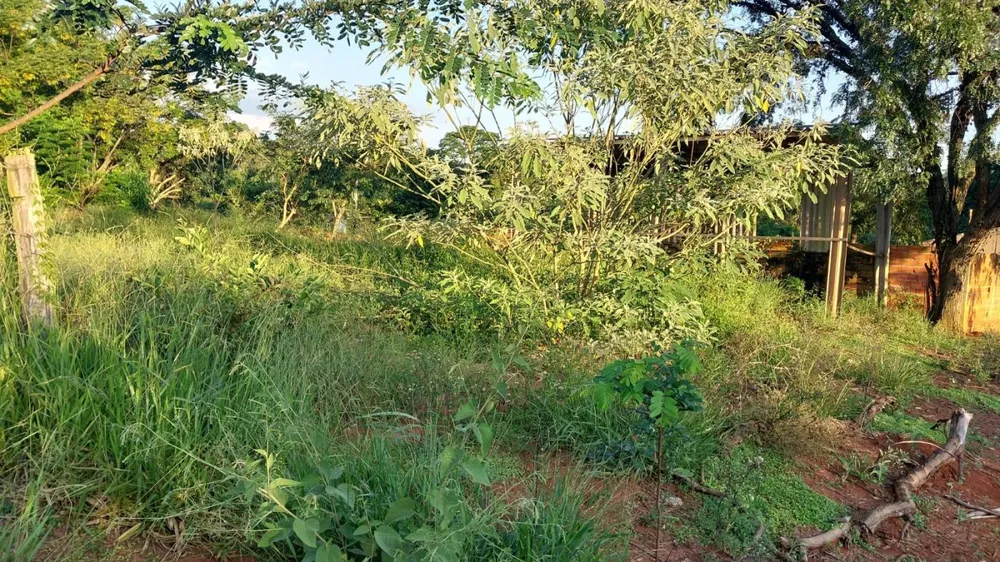 Terreno, 1000 m² - Foto 6