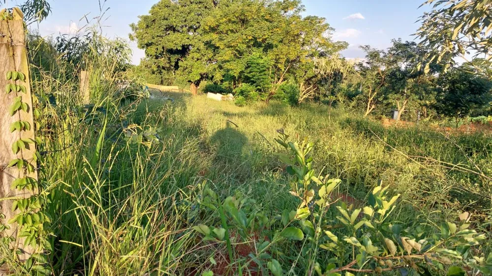 Terreno, 1000 m² - Foto 5