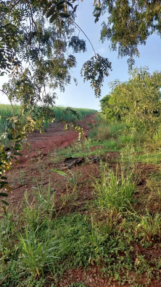 Terreno, 1000 m² - Foto 9