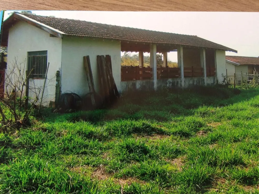 Sítio, 3 quartos, 3 hectares - Foto 24