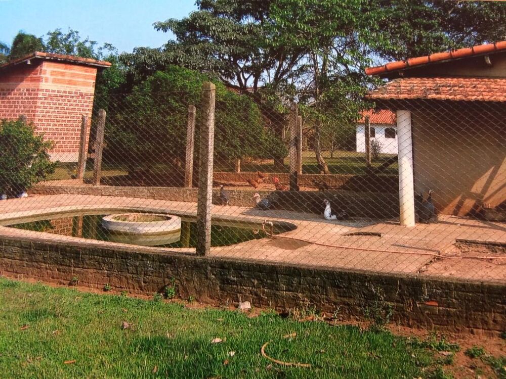 Sítio, 3 quartos, 3 hectares - Foto 14