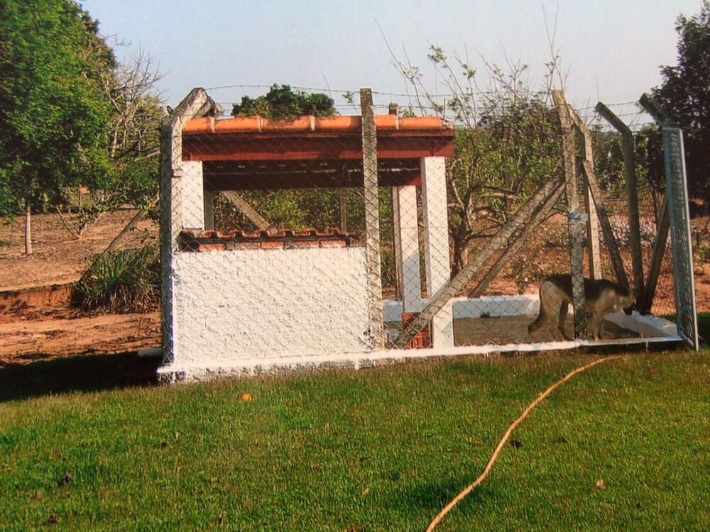 Sítio, 3 quartos, 3 hectares - Foto 16
