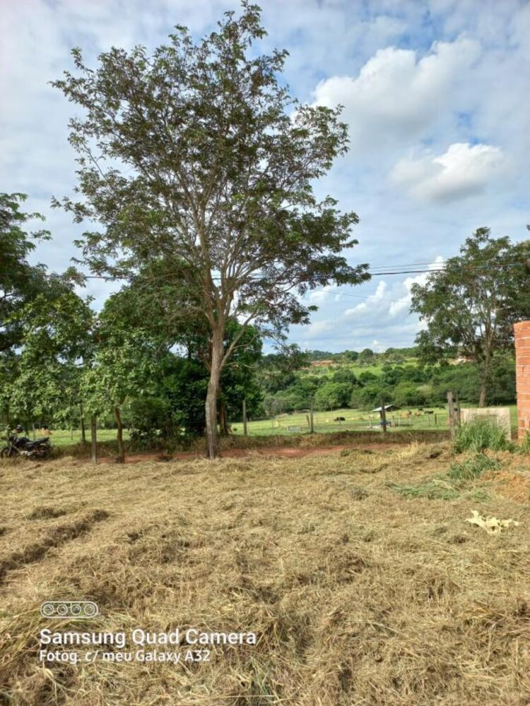 Chácara, 1565 m² - Foto 7