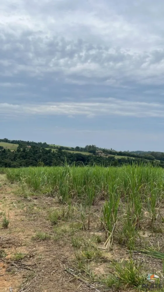 Sítio, 58 hectares - Foto 4