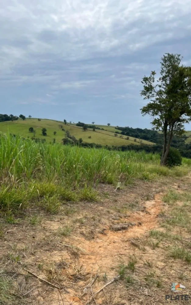 Sítio, 58 hectares - Foto 1