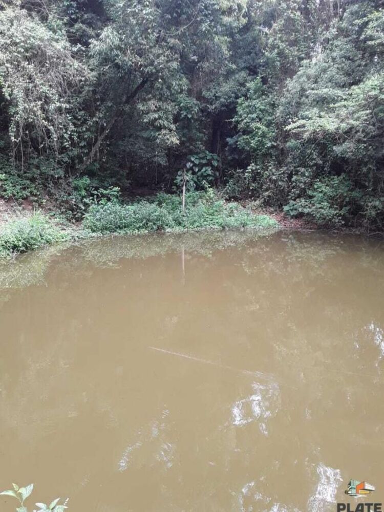 Sítio, 1 hectares - Foto 14