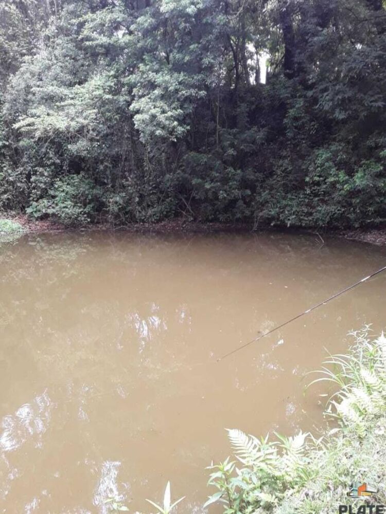 Sítio, 1 hectares - Foto 15