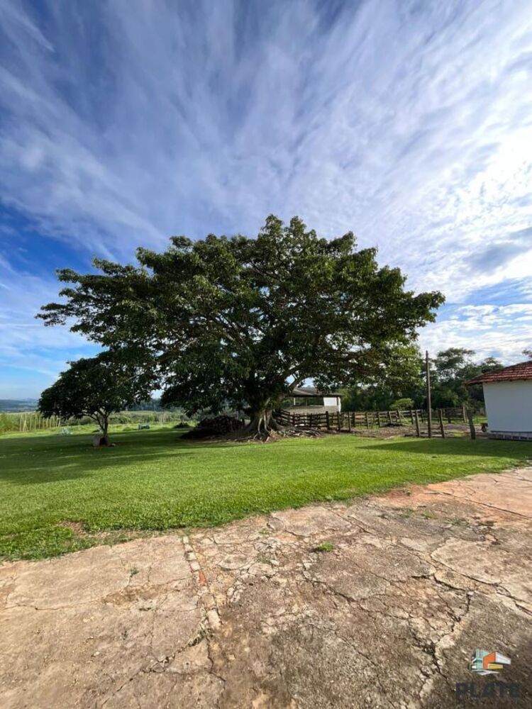 Fazenda, 17 hectares - Foto 7
