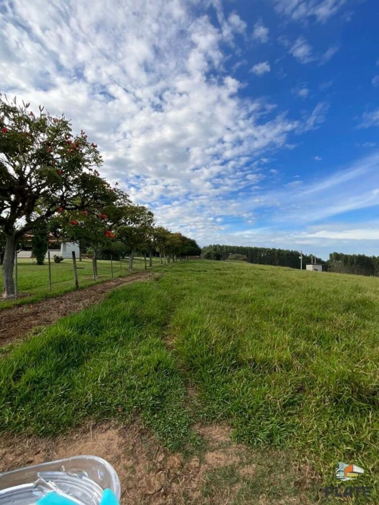 Fazenda, 17 hectares - Foto 5