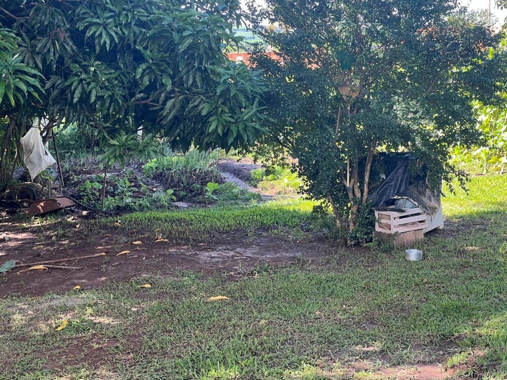 Casa de Condomínio - Foto 1