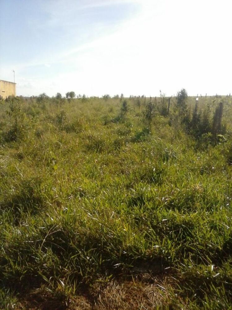 Terreno, 1600 m² - Foto 3